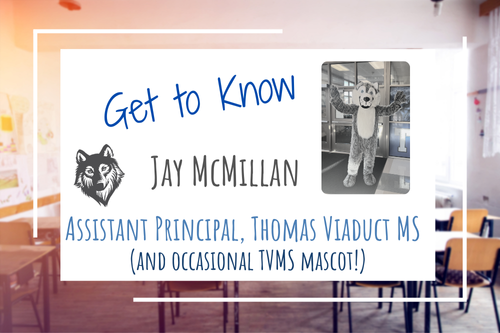 background photo of a generic classroom. over that photo is a white box with text stating, Get to Know Jay McMillan, Assistant Principal, Thomas Viaduct MS (and occasional TVMS mascot!). Also in the box is a photo of Jay McMillan wearing the TVMS mascot costume and the TVMS wolf mascot image