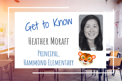 background photo of a generic classroom. over that photo is a white box with text stating, Get to Know Heather Moraff, Principal, Hammond Elementary. Also in the box is a photo of Heather Moraff and the Hammond Elementary tiger mascot